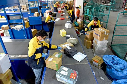 23條政策舉措出臺 優化互聯網接入及相關服務，促進行業高質量發展